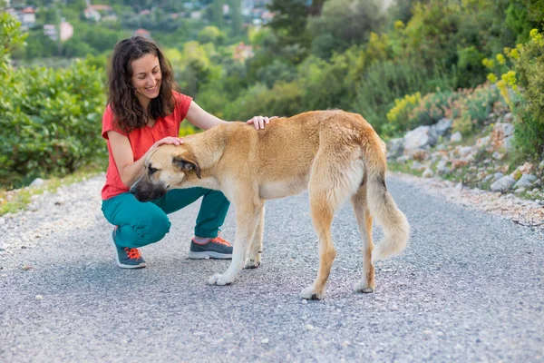 Woman Walks Dog Girl Strokes Big Kind Shepherd Dog Pet — Stockfoto
