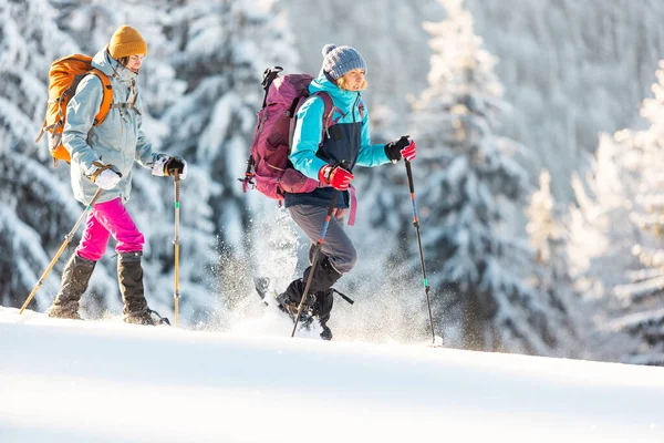 两名妇女穿着雪鞋在雪地里行走 冬季徒步旅行 两名男子穿着登山装备在山上行走 — 图库照片