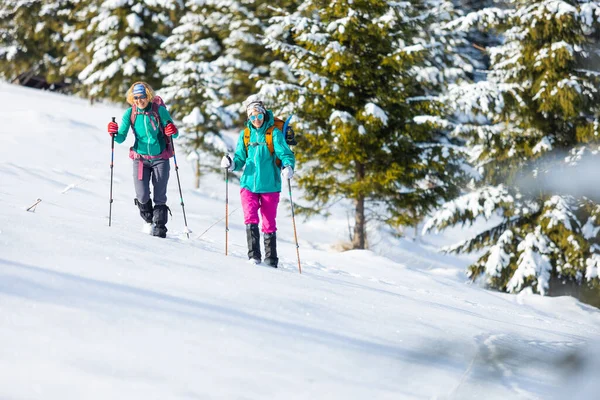 Zwei Frauen Gehen Bei Einer Winterwanderung Durch Den Schnee Zwei — Stockfoto