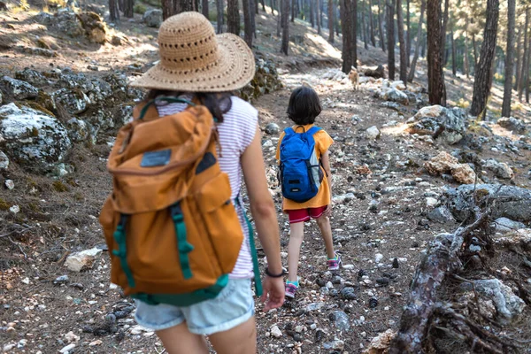 Kobieta Jej Dziecko Spacerują Szlakiem Górskim Chłopiec Plecakiem Podróżuje Matką — Zdjęcie stockowe