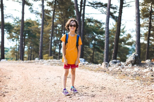 Uma Criança Caminho Montanha Menino Com Uma Mochila Passeio Floresta — Fotografia de Stock