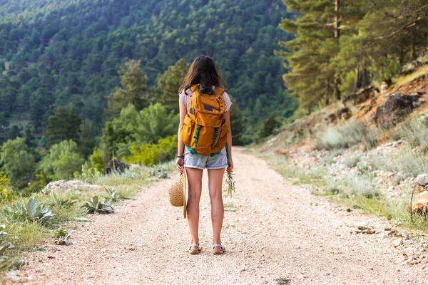 Een Vrouw Met Een Rugzak Een Bergpad Een Wandeling Bergen — Stockfoto