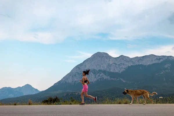 Женщина Вечерней Пробежке Собакой Девушка Занимается Спортом Бегает Горной Дороге — стоковое фото