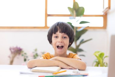 Çevrimiçi mesafe öğrenimi. Bilgisayarlı bir çocuk bir öğretmen ve sınıf grubuyla video konferans yoluyla iletişim kuruyor. Çocuk internetten iletişim kuruyor..