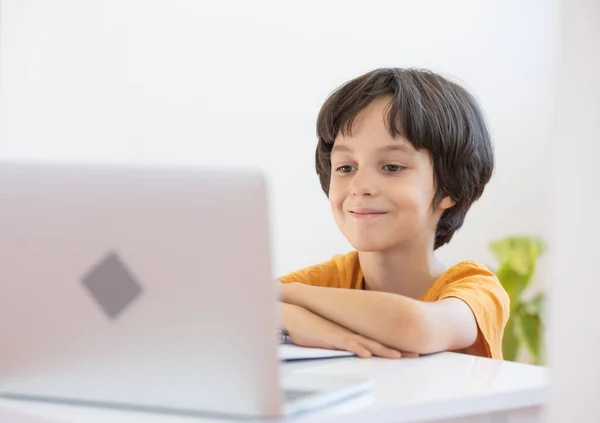 Online Distance Learning Boy Computer Communicate Videoconference Teacher Class Group — 图库照片