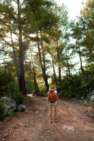 Girl Traveler Backpack Goes Forest Path Young Girl Hat Backpack — Fotografia de Stock
