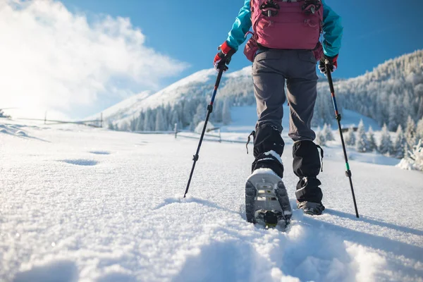 Žena Batohem Sněžnicích Šplhá Zasněženou Horu Zimní Trekking Turistické Vybavení — Stock fotografie