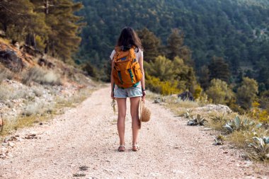 Sırt çantası ve hasır şapkalı bir kız dağ yolunda yürüyor, dağlarda yürüyor, bir kadın orman yolunda yürüyor, dünyanın en güzel yerlerine doğru bir yolculuk yapıyor.