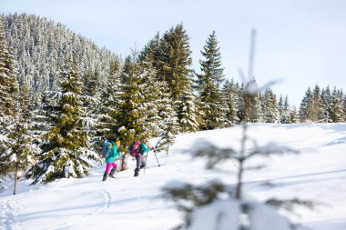 İki kadın kış yürüyüşünde karda yürür, ikisi kışın dağlarda, yürüyüş ekipmanları, kar ayakkabıları