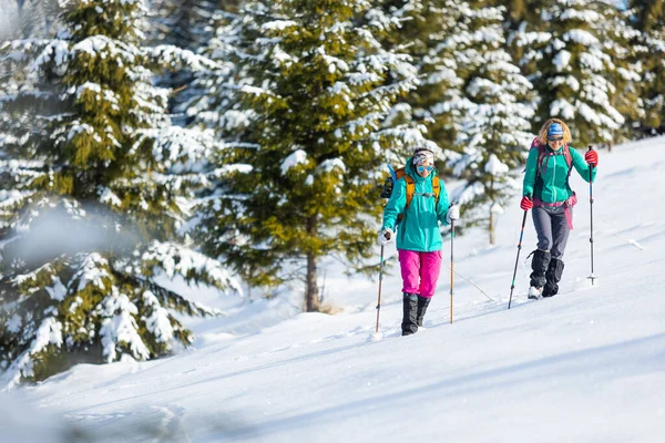 2人の女性が冬のハイキングで雪の中を歩く 冬の山の中で2人 ハイキング機器 スノーシュー — ストック写真