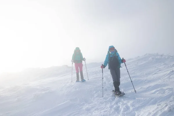 two women climbed to the top of the mountain during a fog, winter trekking, two girlfriends travel together, snow-capped mountains, snowstorm