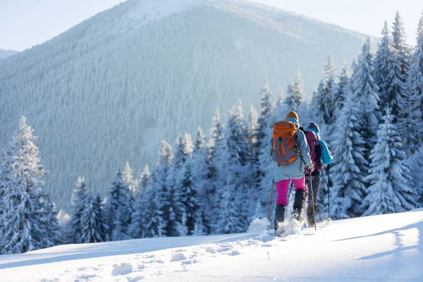 Two Women Walk Snowshoes Snow Winter Trekking Two People Mountains — Stock Photo, Image