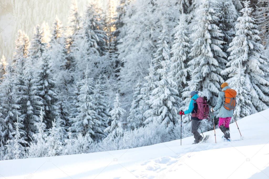 Two women walk in snowshoes in the snow, winter trekking, two people in the mountains in winter, hiking equipment