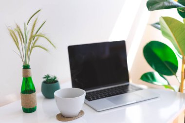 Serbest çalışan işyeri, dizüstü bilgisayar, kahve fincanı ve saksı çiçeği beyaz masa, modern ofis