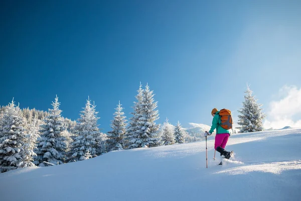 Uma Mulher Caminha Com Sapatos Neve Neve Trekking Inverno Uma — Fotografia de Stock