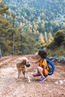Köpeğiyle ormanda yürüyüşe çıkan bir çocuk, çoban köpeğiyle yürüyen bir çocuk, evcil bir hayvanı okşayan bir çocuk.