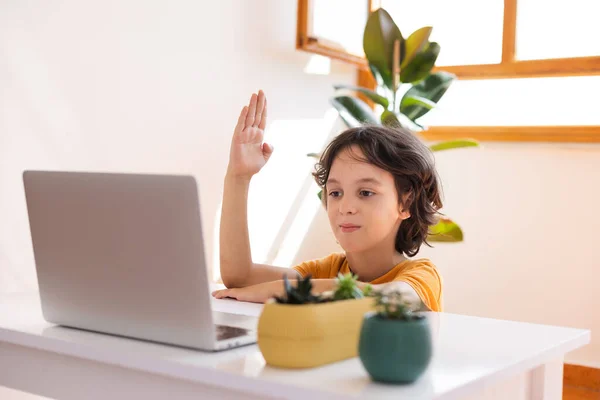 Menino Criança Está Usando Laptop Estudar Line Com Vídeo Chamada — Fotografia de Stock