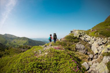 Dağlarda yürüyüş yapan iki kardeş, sırt çantalı çocuklar dağ yolunda yürüyorlar, çocuklarla açık hava aktiviteleri, kardeşiyle bir çocuk, kardeşiyle birlikte seyahat ediyorlar.