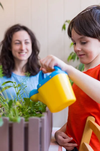 Boy helps mom take care of house plants, child watering flowers, woman teaches son to take care of plants, mother\'s day