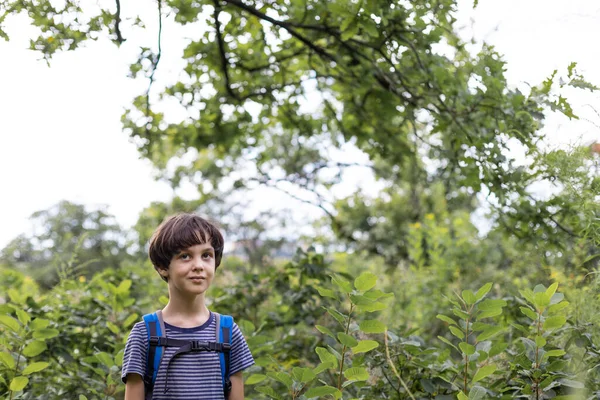 Sırt Çantalı Bir Çocuk Ormanda Yürüyor Bir Çocuk Vahşi Hayatı — Stok fotoğraf
