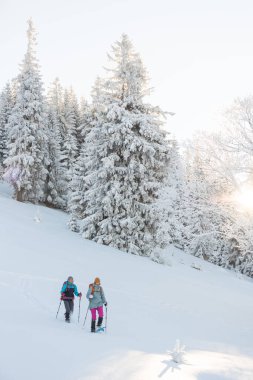 two girls walk along a mountain path in snowshoes. walking in the snow. hiking in the mountains in winter.