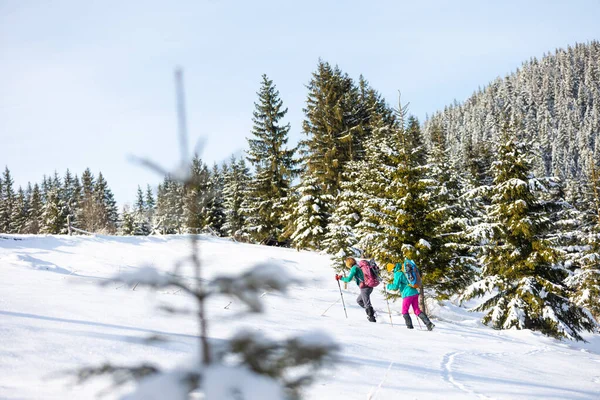 Две Женщины Ходят Снегу Зимний Поход Две Зимой Горах Туристическое — стоковое фото