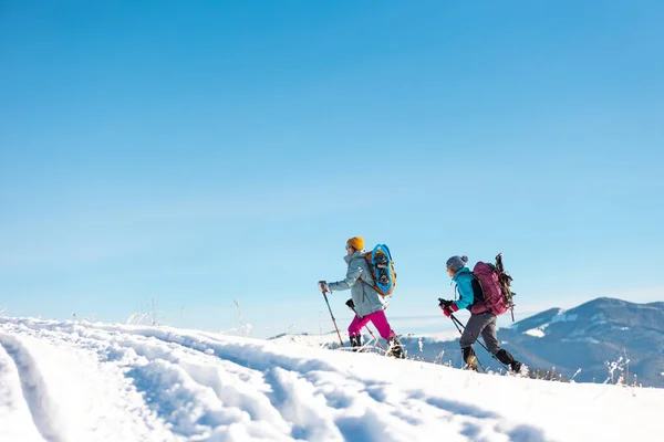 Kadın Kış Yürüyüşünde Karda Yürür Ikisi Kışın Dağlarda Yürüyüş Ekipmanları — Stok fotoğraf