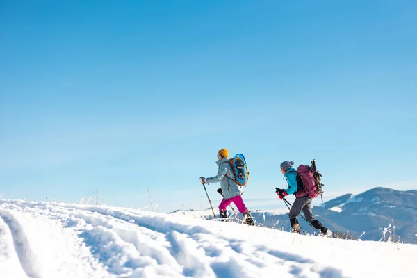 Dos Mujeres Caminan Través Nieve Una Caminata Invierno Dos Las — Foto de Stock