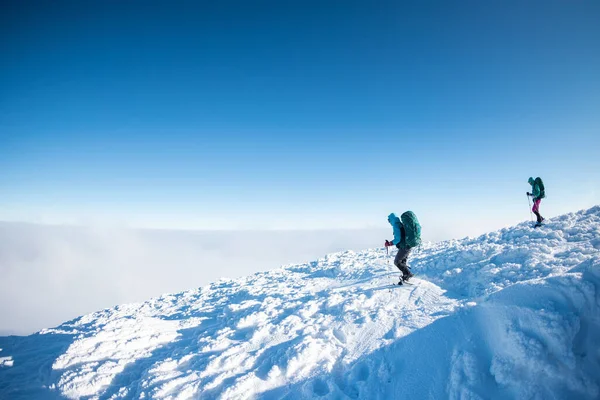 Dwie Kobiety Plecakami Chodzą Śnieżnych Butach Zimą Trekking Dwie Osoby — Zdjęcie stockowe