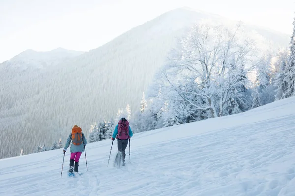 climbers climb the mountain. two girls in snowshoes walk in the snow. hiking in the mountains in winter.