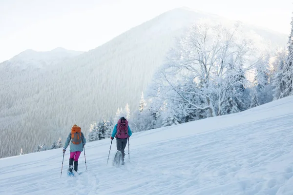 Climbers Climb Mountain Two Girls Snowshoes Walk Snow Hiking Mountains — 스톡 사진