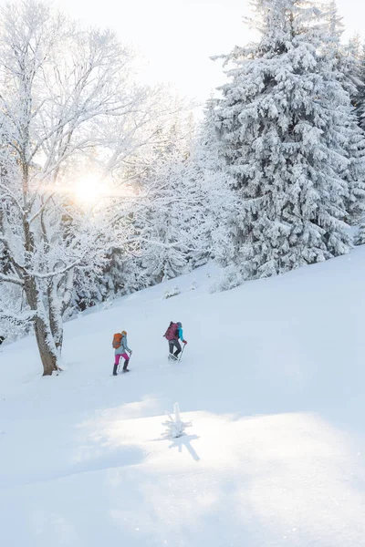 Two Girls Walk Mountain Path Snowshoes Walking Snow Hiking Mountains — Stock Fotó