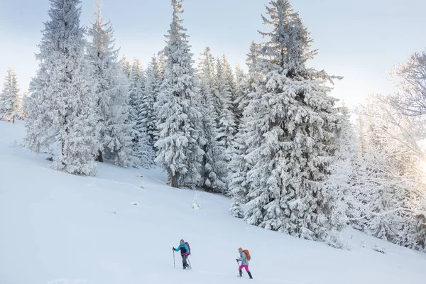 여자가 구두를 여행을 겨울에 장비를 등산을 있습니다 — 스톡 사진