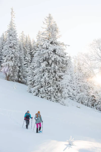 two girls walk along a mountain path in snowshoes. walking in the snow. hiking in the mountains in winter.
