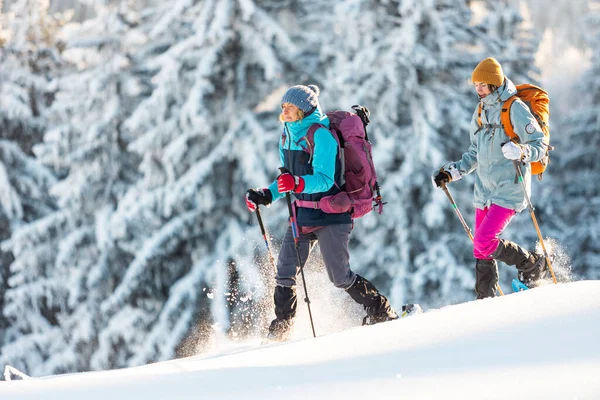 Karda Kar Ayakkabılarıyla Yürüyen Iki Kadın Kış Yürüyüşü Yapan Iki — Stok fotoğraf