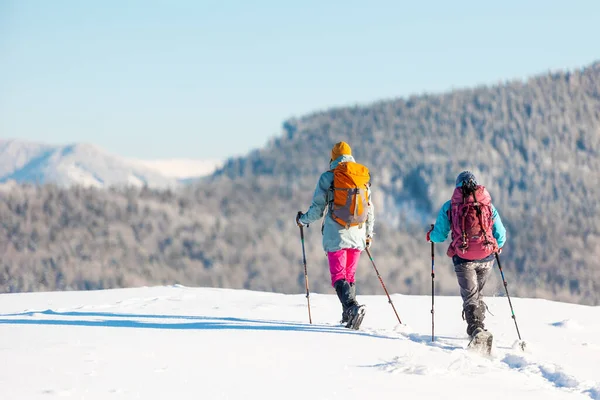 Two Girls Walk Mountain Path Snowshoes Walking Snow Hiking Mountains — 스톡 사진