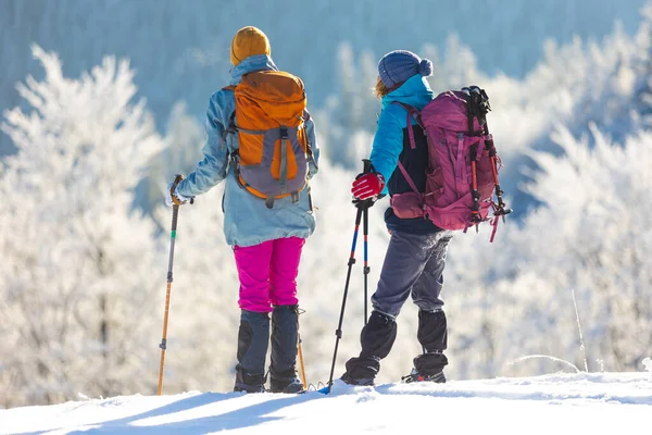 两个女人在雪地里走着过冬 两个女人在山里走着过冬 带着远足装备和雪鞋 — 图库照片