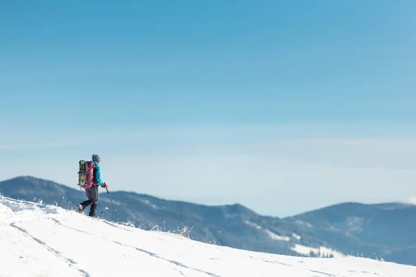 冬のハイキングにリュックを持った少女が雪の中を歩く 山でのトレッキング — ストック写真