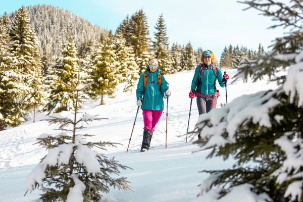 木の間の雪の中をバックパックを持つ2人の女の子 山の中で冬のハイキング 山の中の冒険 — ストック写真