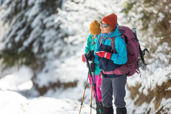 两个背着背包的女孩走在树林里的雪地里 冬天在山上徒步旅行 在山上探险 — 图库照片