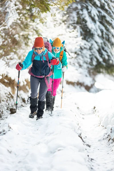 Дві Дівчини Рюкзаками Ходять Через Сніг Серед Дерев Зимові Походи — стокове фото