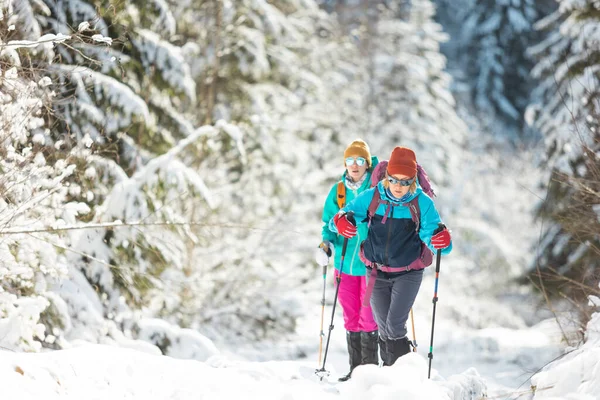 Δύο Κορίτσια Σακίδια Περπατούν Μέσα Στο Χιόνι Ανάμεσα Στα Δέντρα — Φωτογραφία Αρχείου