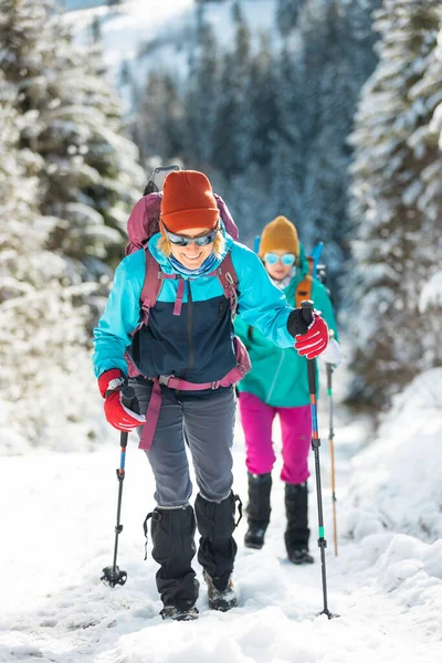 Twee Meisjes Met Rugzakken Lopen Een Pad Winterbergen Wandelen Bergen — Stockfoto