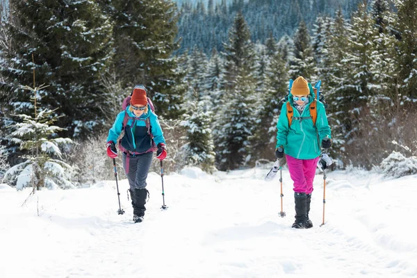 Две Девушки Путешествуют Горах Зимы Зимний Поход — стоковое фото