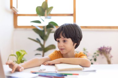 the boy uses a laptop during a distance lesson. The child communicates online.