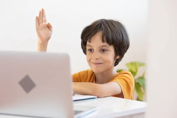 Online Distance Learning Boy Computer Communicate Videoconference Teacher Class Group — Stockfoto