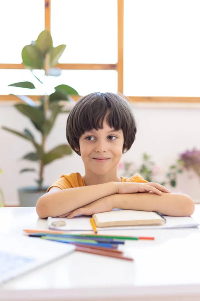 Portrait Child Classroom Lesson Boy Sits Table Does His Homework — Fotografia de Stock
