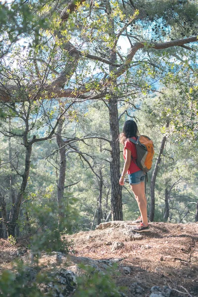 Uśmiechnięta Dziewczyna Spaceruje Przez Las Plecakiem Wędrując Góry Słoneczny Dzień — Zdjęcie stockowe