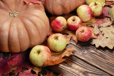 Balkabaklarıyla, elmalarıyla ve tahtalarında düşen yapraklarıyla