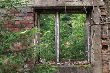 Ormandaki terk edilmiş bir binanın kırık penceresi.